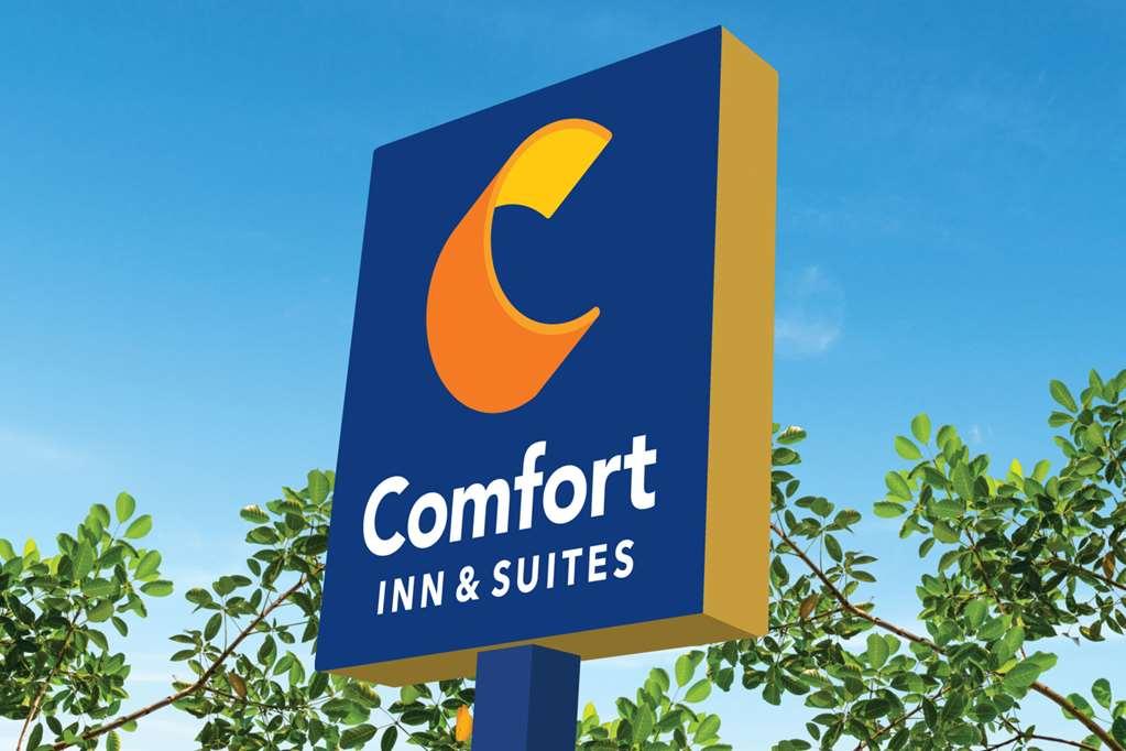 Comfort Inn & Suites Us-60 Mountain Grove Екстериор снимка